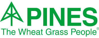 Pines International