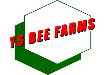YS Organic Bee Farms