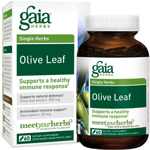 Gaia Herbs Olive Leaf 60 Capsules