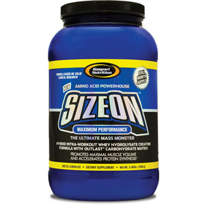 Gaspari SizeOn Maximum Performance