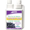 Liquid Health Children's Multiple 32 oz