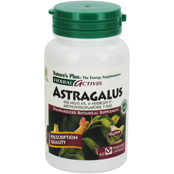 Herbal Actives Astragalus 450 mg 60 Vcaps