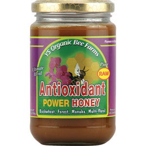YS Organic Bee Farms Antioxidant Power Honey 13.5 oz